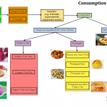 Dragon fruit-Pinapple consumption