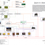 Mango distribution