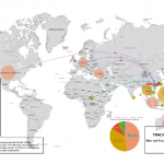 Pinapple-Kiwi pinapple global map